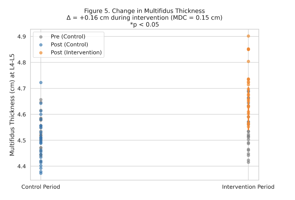 Fig 3 — Multifidus thickness