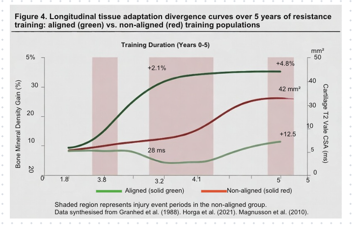 Figure 4 — Net Torque Distribution Across the Kinetic Chain (Grades A–D) showing stacked proportional torque contributions.